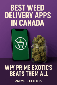 Promotional graphic with a purple background showing a smartphone with a cannabis shopping cart icon beside a glass jar of cannabis buds, featuring the text ‘Best Weed Delivery Apps in Canada’ and ‘Why Prime Exotics Beats Them All.’
