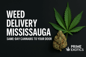 Prime Exotics delivery car with Mississauga’s city skyline (Absolute World towers) in background, representing fast weed delivery in Mississauga.