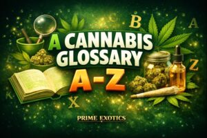 Cannabis glossary A to Z banner by Prime Exotics featuring cannabis flower jar oil dropper and pre-roll