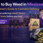 how-to-buy-weed-in-mississauga-beginners-guide