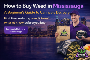 how-to-buy-weed-in-mississauga-beginners-guide