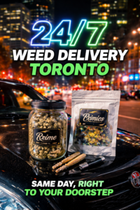 24 7 weed delivery Toronto same day cannabis Prime Exotics
