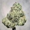 ice runtz strain frosty trichome covered exotic buds