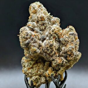 Alaskan Thunder Fuck strain premium cannabis bud Toronto