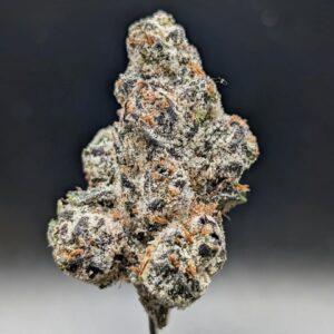 Amnesia Haze strain frosty cannabis bud