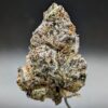 Amnesia Haze strain frosty cannabis bud