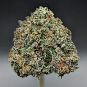 Girl Scout Cookies strain frosty cannabis bud