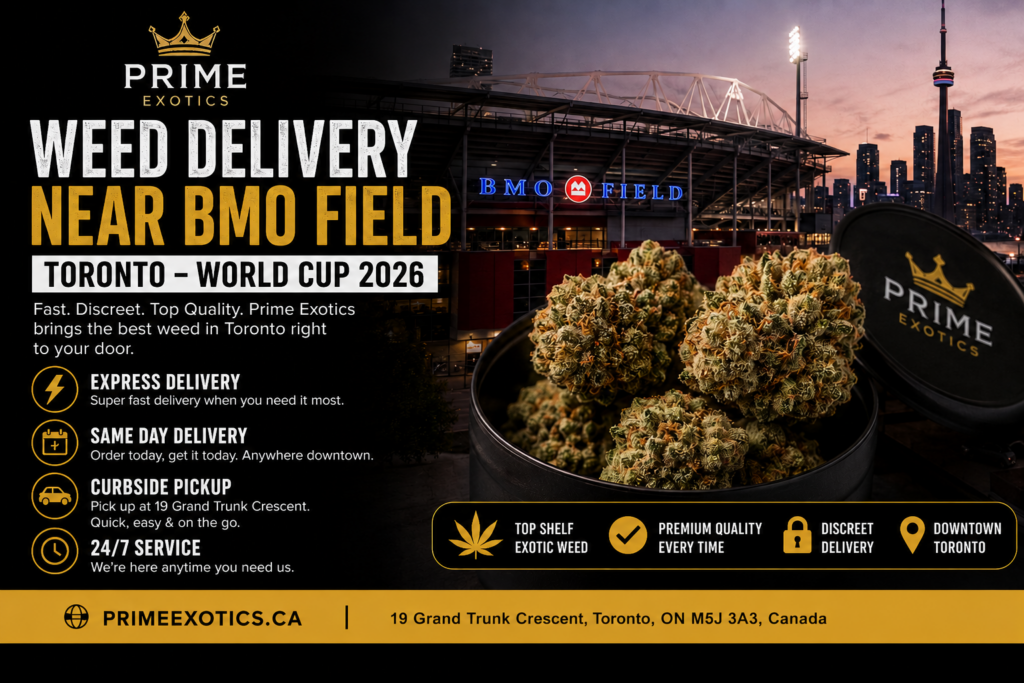 Prime Exotics weed delivery King West Toronto near BMO Field same day express delivery
