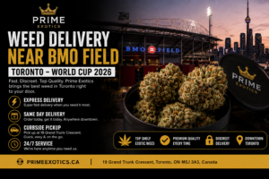 weed delivery near BMO Field Toronto