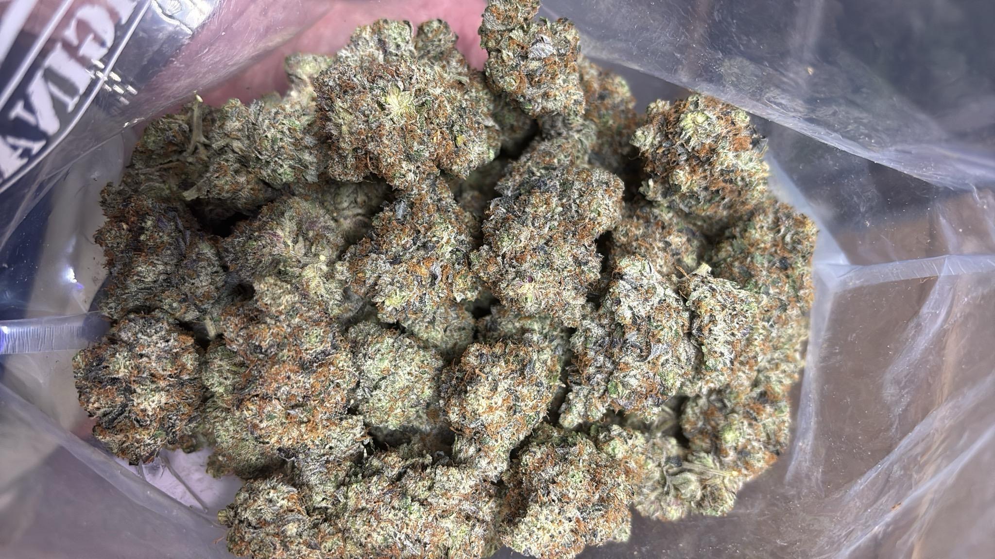 MKU | The Strongest GAS on the Market! Best of the Best
