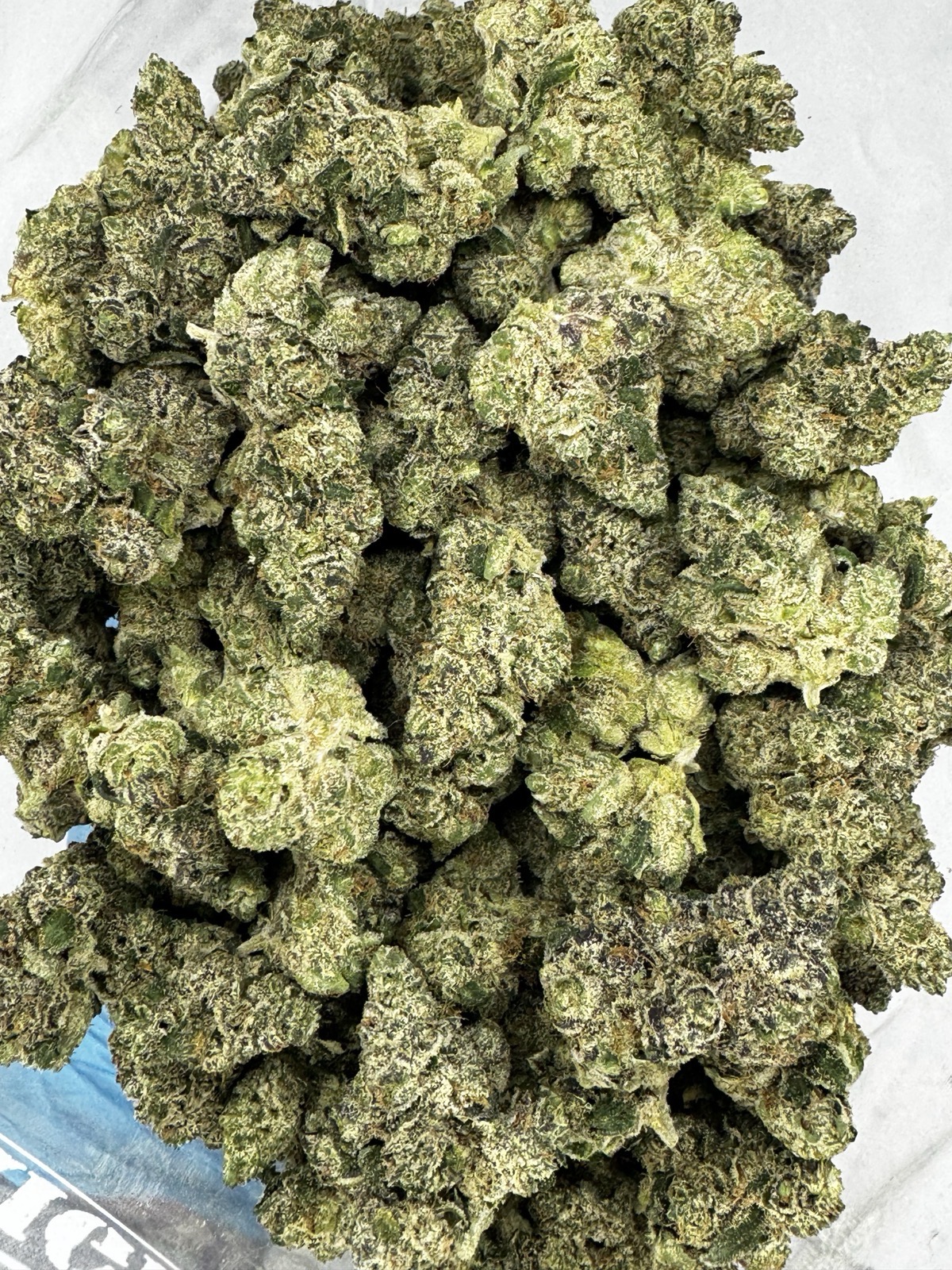 Trufflez (Exotic)