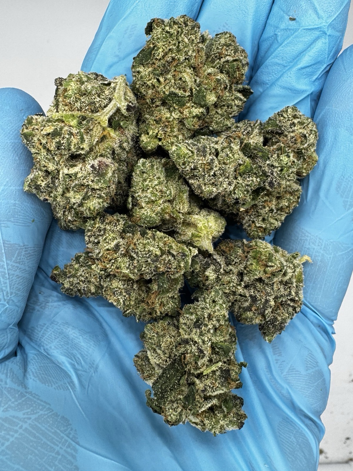 Trufflez (Exotic) - Image 2