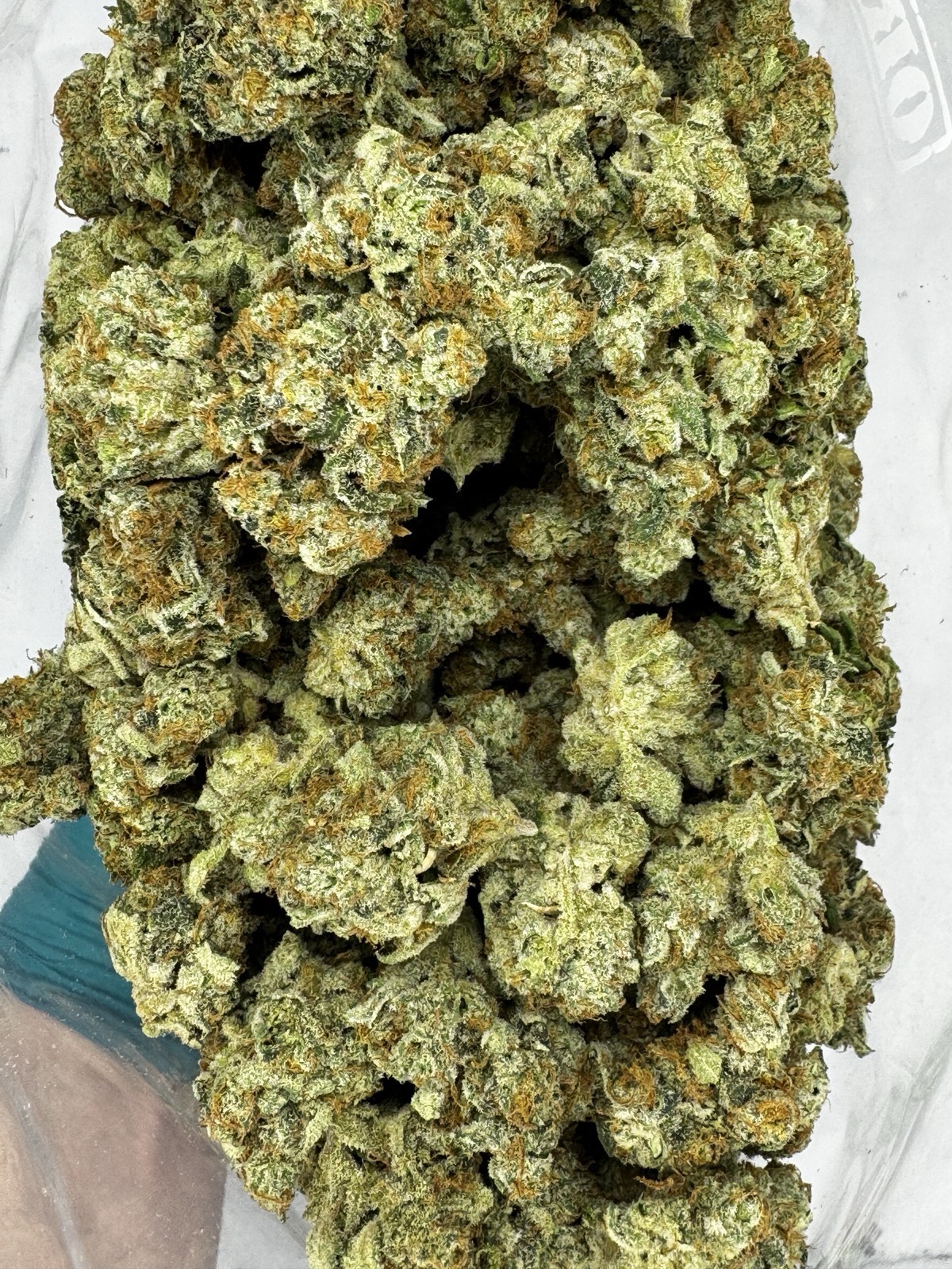 Red Congo 100% Sativa